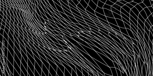 Fishing or soccer net. Repeated hexagon pattern. Black wired mesh texture isolated on white background.ilustrasion modern.