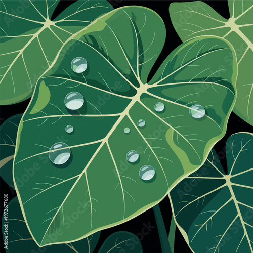 Adobe Illustrator Artwork  taro leaf clip art