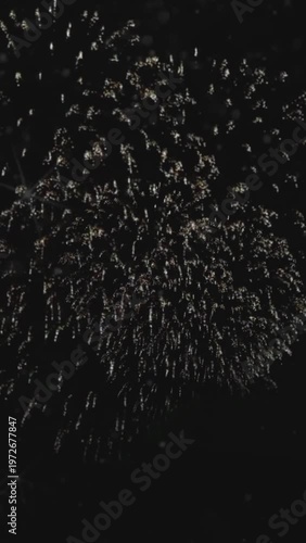 Beautiful fireworks explosion on black background with sparkling particles in the night sky