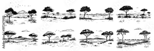 African savanna landscapes collection with acacia trees in minimalist doodle style