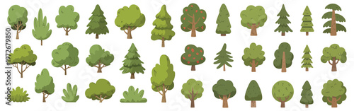 A collection of cartoon trees in various shapes and sizes isolated on white background, Vector