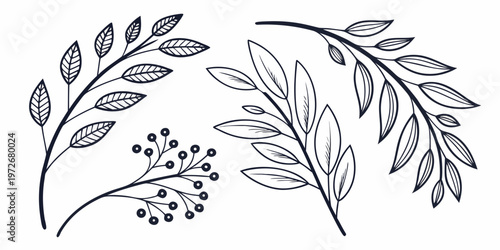 A delicate illustration of a sprig of white jasmine flowers and buds