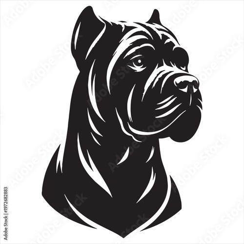 Cane Corso Dog Powerful Loyal Italian Mastiff Breed Known for Strength Intelligence Protective Nature Family Guardian Confident Personality Muscular Body Fearless Attitude Excellent Guard Dog.