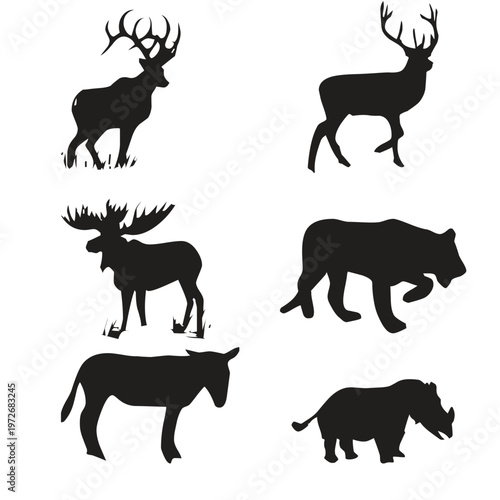 Set of illustration exotic animals illustration