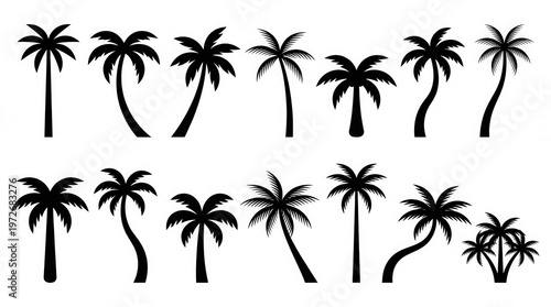 Vector Illustration of Tropical Palm Trees in a Paradise Landscape for Vacation and Travel Design