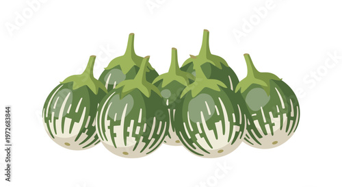 A clean and stylized vector illustration of six round green Thai eggplants with thick white stripes and prominent green stems on a white background.