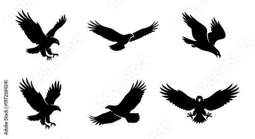 Eagle silhouette vector set, flying bald eagle icons in black and white, predatory bird of prey collection, 6 hawk and falcon wing graphics
