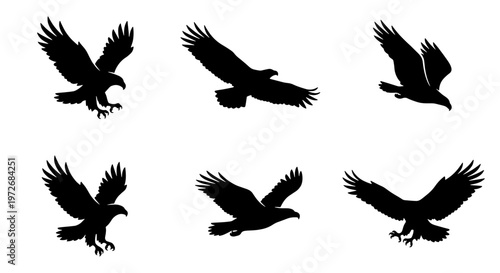 Eagle silhouette vector set, collection of 6 flying hawk and bald eagle icons, black bird of prey shapes isolated on white background