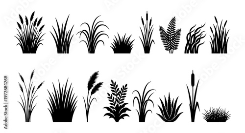 Black grass silhouette collection, 15 botanical marsh plant elements, wild meadow weeds and cattail reed vector set for landscape design