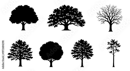 Black tree silhouettes collection, set of 7 deciduous and leafless tree icons, botanical vector elements for landscape design and forest graphics
