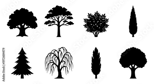 Black tree silhouettes set, collection of 8 botanical plant icons, diverse forest and garden tree shapes, minimalist nature vector elements