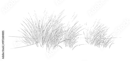 Photos Hand drawn of tall grass swaying in the wind nature field meadow
