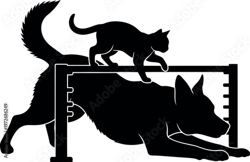 Silhouette of Cat and Dog Performing Agility Training Together, Pet Cooperation Concept