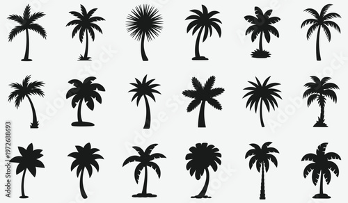 A collection of black palm tree silhouettes on a white background isolated on white background, Vector