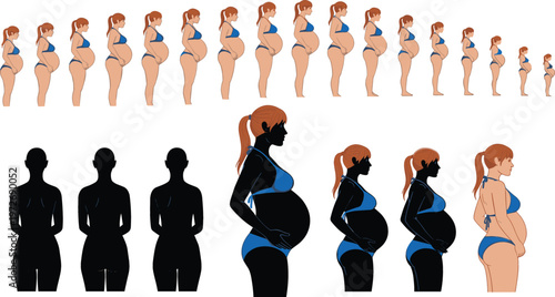Pregnancy Progression Set with Woman in Swimsuit Showing Belly Growth and Silhouette Stages