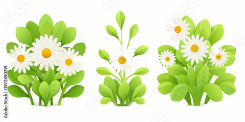 A colorful illustration of several daisy flower arrangements with green leaves