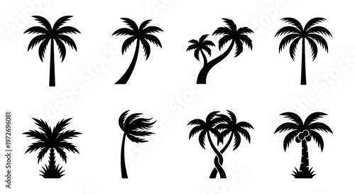 Tropical palm tree silhouettes, set of 8 black coconut tree icons, exotic summer plant vector elements for travel and beach branding