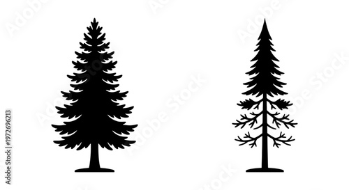 Pine tree silhouettes, black evergreen conifer vector set, minimalist spruce and fir forest elements for outdoor branding and nature design