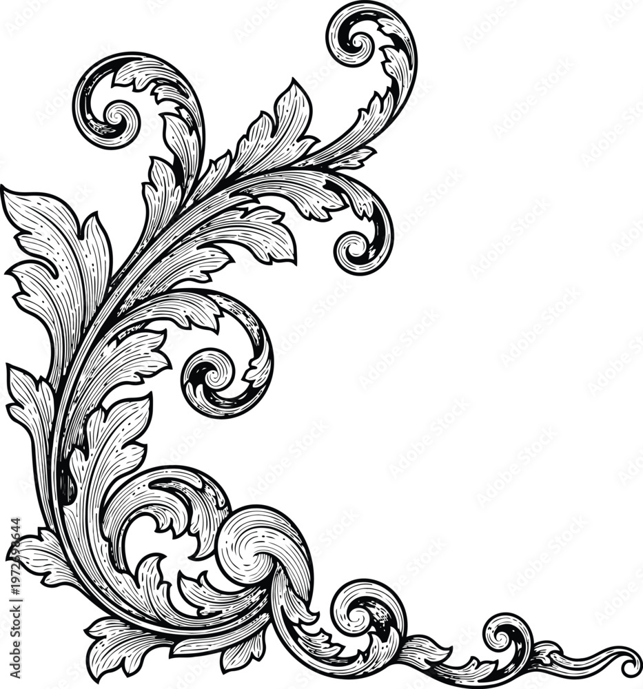 Fototapeta premium Ornate Baroque Flourish Scrollwork Detail with Acanthus Leaves Intricate Engraving Style Isolated on White Background