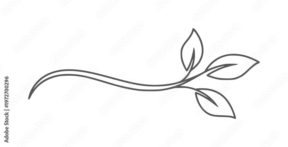 Fototapeta premium Dark gray vine with three leaves white leaf plant nature organic