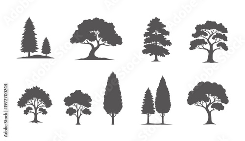 Collection of dark grey tree silhouettes white nature plant evergreen