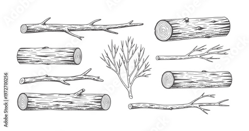 Collection of hand drawn wood logs and branches with textures tree nature