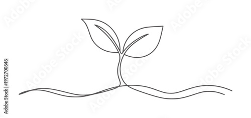 Single line of a seedling emerging from soil plant growth sprout leaf