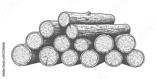 Stacked cut logs with visible wood grain and rings timber