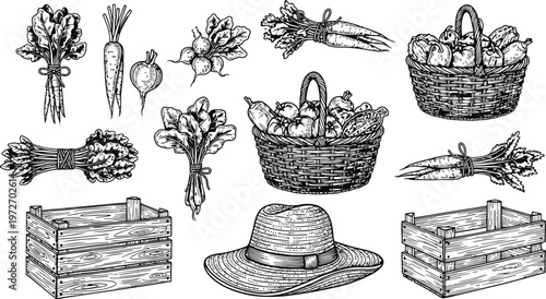 Vintage Farm Harvest Collection: Vegetables Baskets and Wooden Crates in Detailed Engraving Style