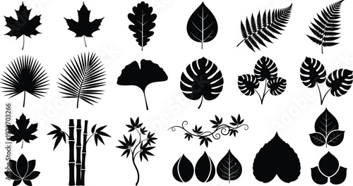 Various black silhouette leaves and bamboo stalks on transparent background.