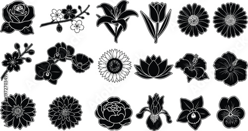 Collection of black and white floral silhouettes on white background rose cherry blossom