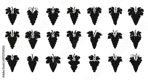 Black silhouettes of bunches of grapes with leaves on white background fruit icons symbol vector graphics