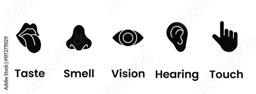 Human senses icon set. Vision eye, smell nose, hearing ear, touch hand, taste mouth with tongue. Simple line icons and black circle. Five senses of human nervous system. Vector illustration.