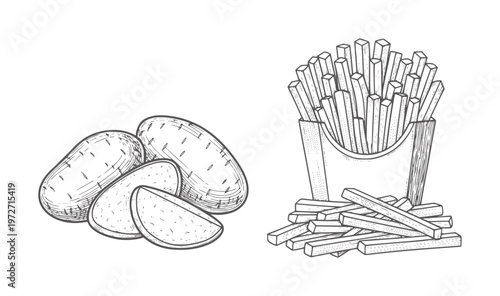 Hand drawn potatoes and french fries in a paper container food