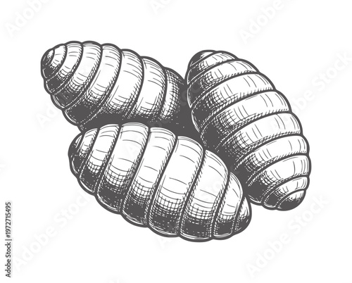 Three segmented insect larvae cocoons in a close up hatching