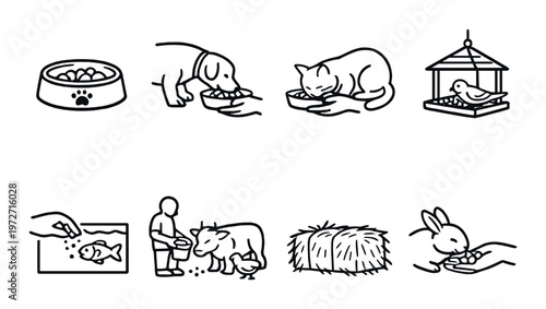 Various animals being fed and feed items on gray background