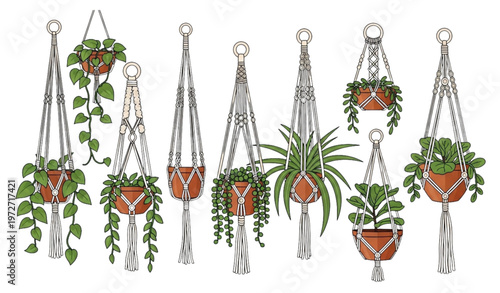 Macrame plant hangers bundle flat cartoon vector illustration