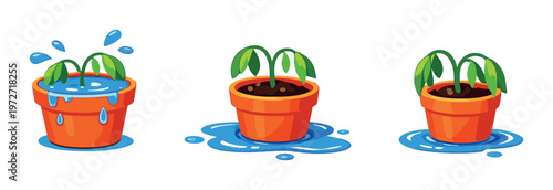 Potted plants showing overwatering and standing water on dark backdrop