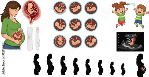 Pregnancy and Baby Development Icon Set with Ultrasound, Test, Baby Bump, and Child Growth Symbols for Websites, Apps, and Medical Media Designs
