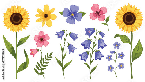 Detailed set of colorful wildflower illustrations featuring sunflowers bluebells pink and purple blossoms with green leaves and stems.