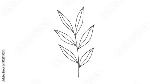Minimalist black line drawing of a single branch with several pointed leaves isolated on a plain white background.