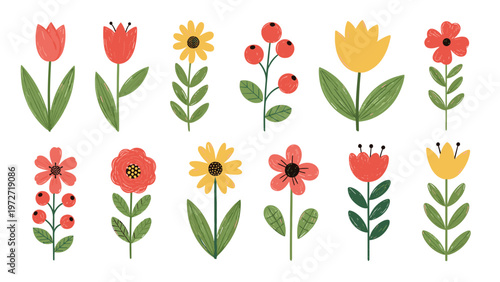 Large set of colorful hand drawn flower illustrations and berry branches with green leaves arranged on a white background.