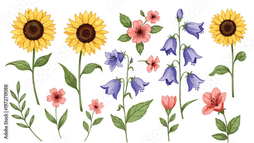Set of detailed wildflower illustrations featuring sunflowers bluebells and pink blossoms with green leaves and stems on white.