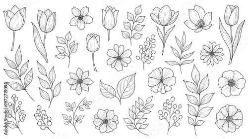 Large collection of black and white hand drawn floral sketches featuring various flowers leaves and berry branches on white.