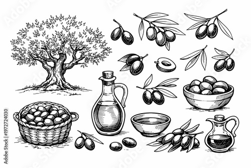 Vintage hand-drawn olive tree and olive oil sketch set. Vector illustration featuring olive branches, glass bottles, baskets, and bowls of olives. Ideal for organic food packaging and labels.