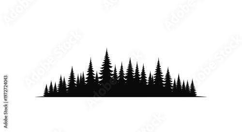 Silhouetted forest of evergreen trees against a plain white background