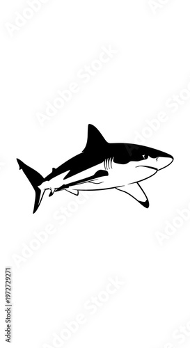 Black and white shark illustration swimming.