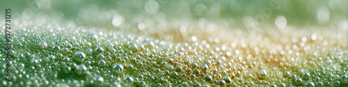 Effervescent bubbles on green surface create sparkling and fresh atmosphere with soft light and shallow depth of field, highlighting texture and natural detail in macro photography