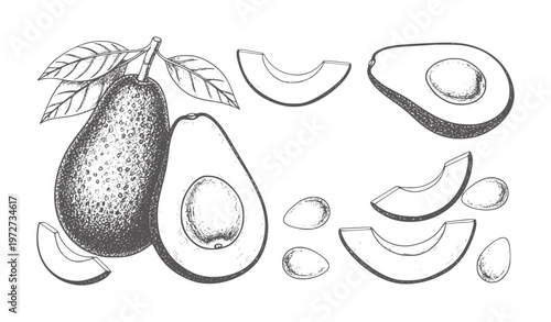 Black and white of avocado whole sliced and pitted slices fruit seeds