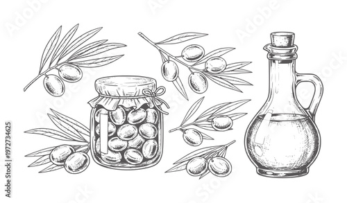 Black and white of olives branches jar and oil bottle leaves